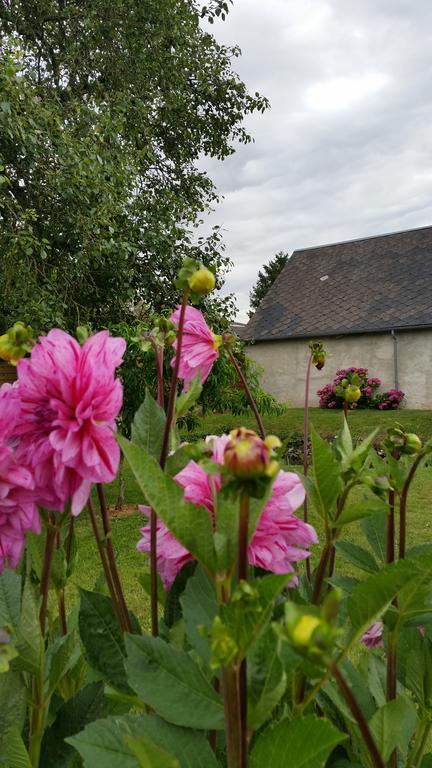 Bed and Breakfast La Ferme Du Bois Paris Ermenonville-la-Petite Exterior foto